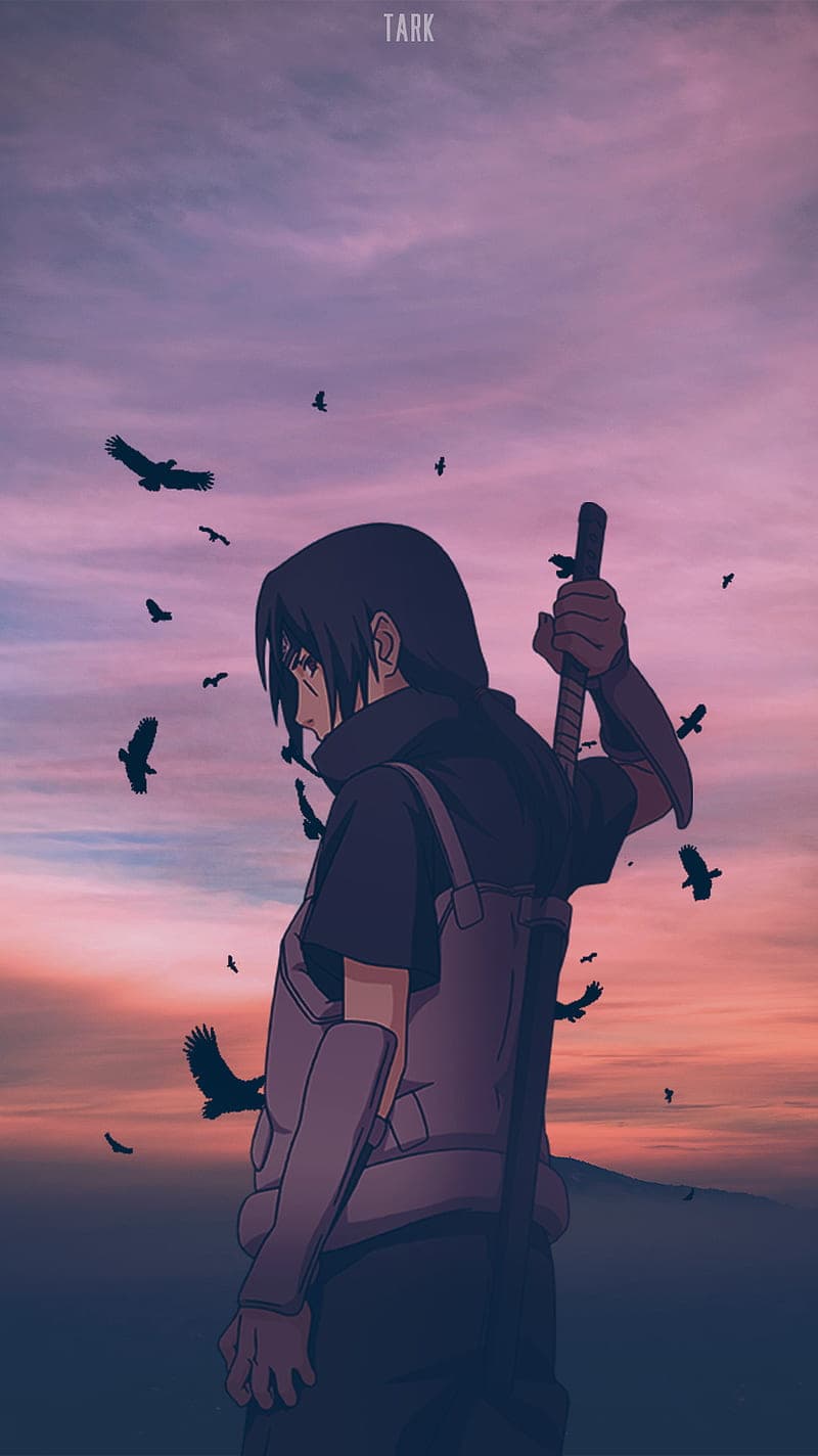 wallpapaper
